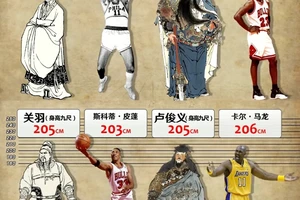 篮球运动员的身高对比赛的重要性:策略与趋势分析